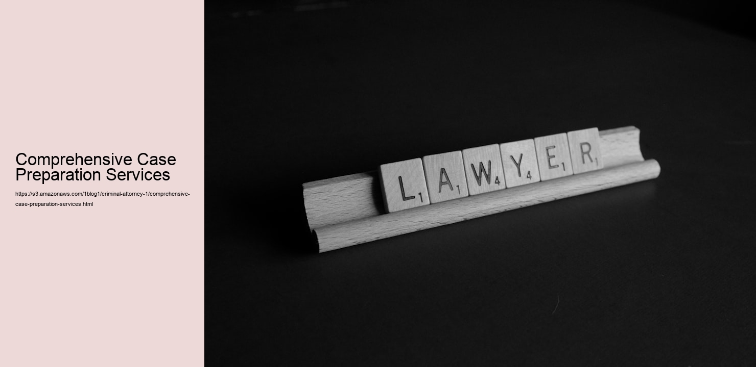 Comprehensive Case Preparation Services  