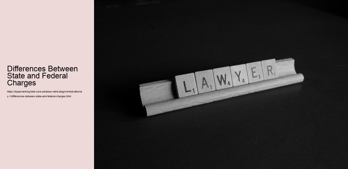 Differences Between State and Federal Charges  