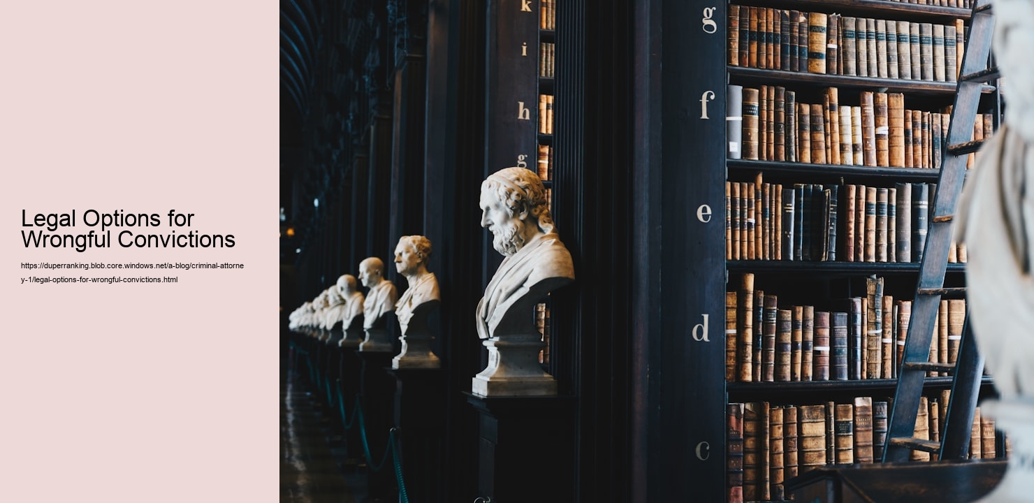 Legal Options for Wrongful Convictions  