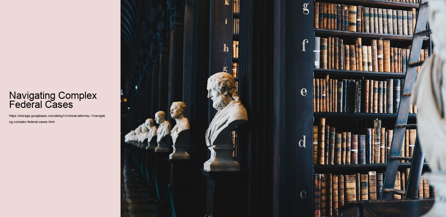 Navigating Complex Federal Cases  