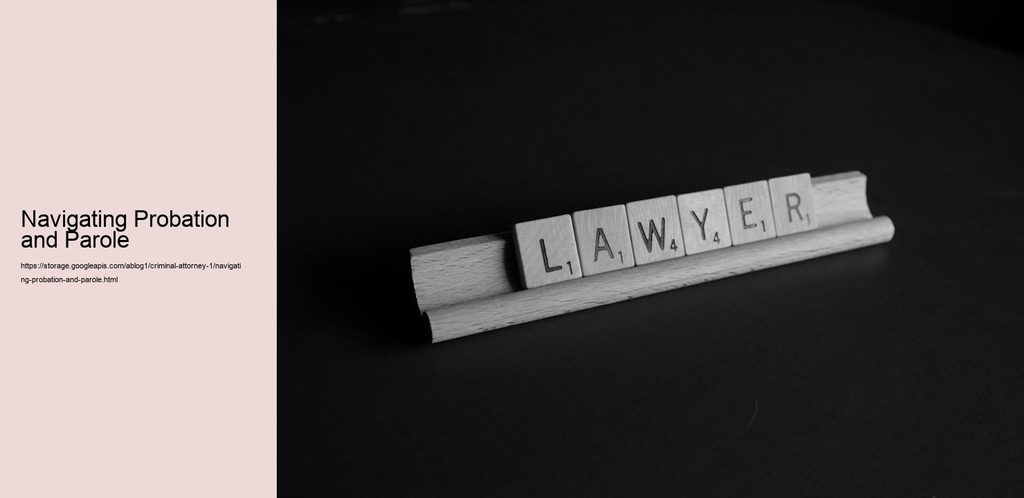 Navigating Probation and Parole  