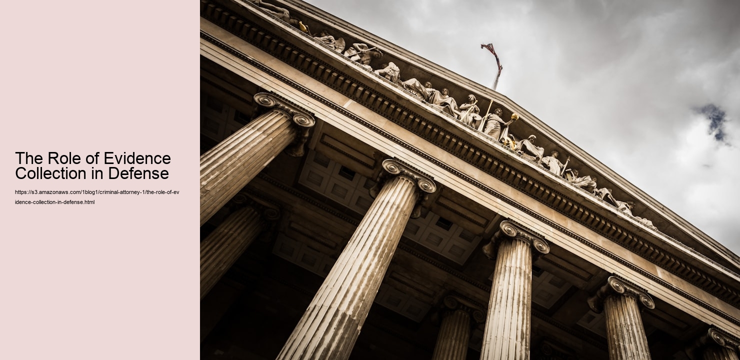 The Role of Evidence Collection in Defense  