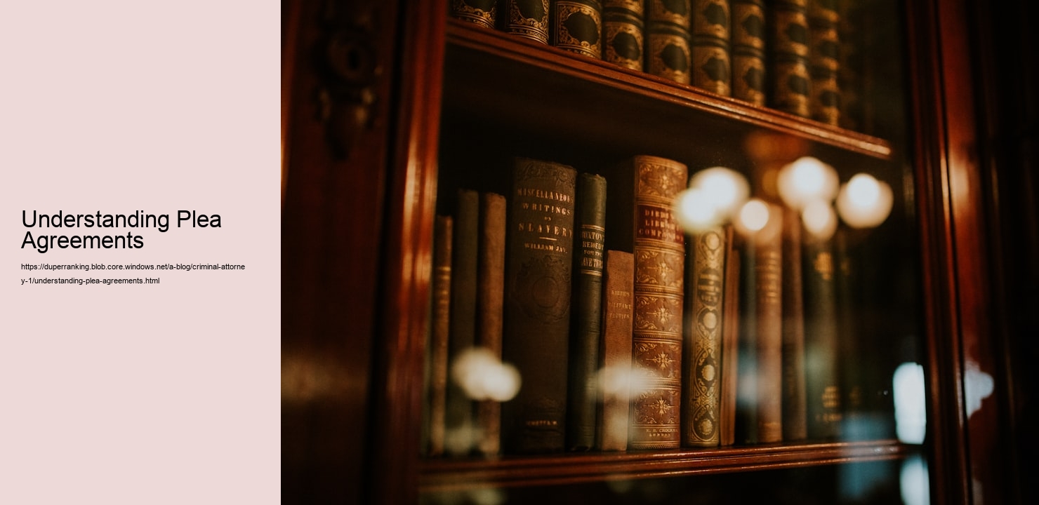 Understanding Plea Agreements  