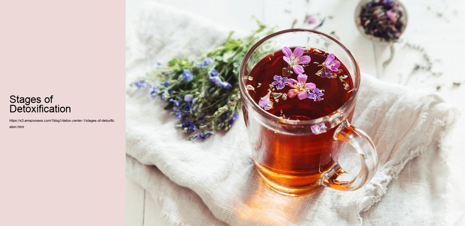 Stages of Detoxification  