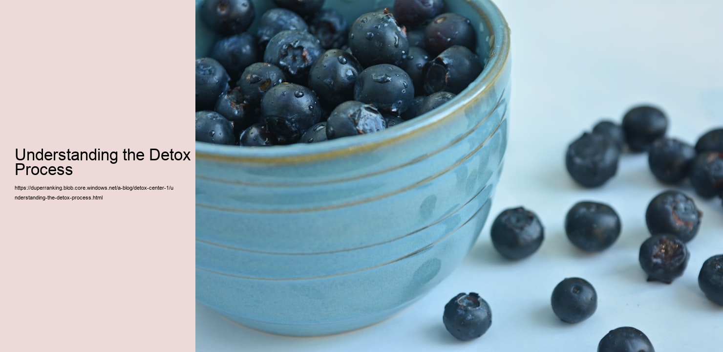 Understanding the Detox Process  