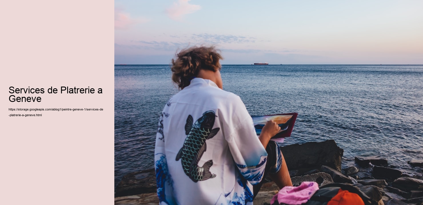 Services de Platrerie a Geneve  