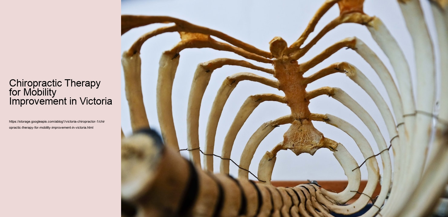 Chiropractic Therapy for Mobility Improvement in Victoria  