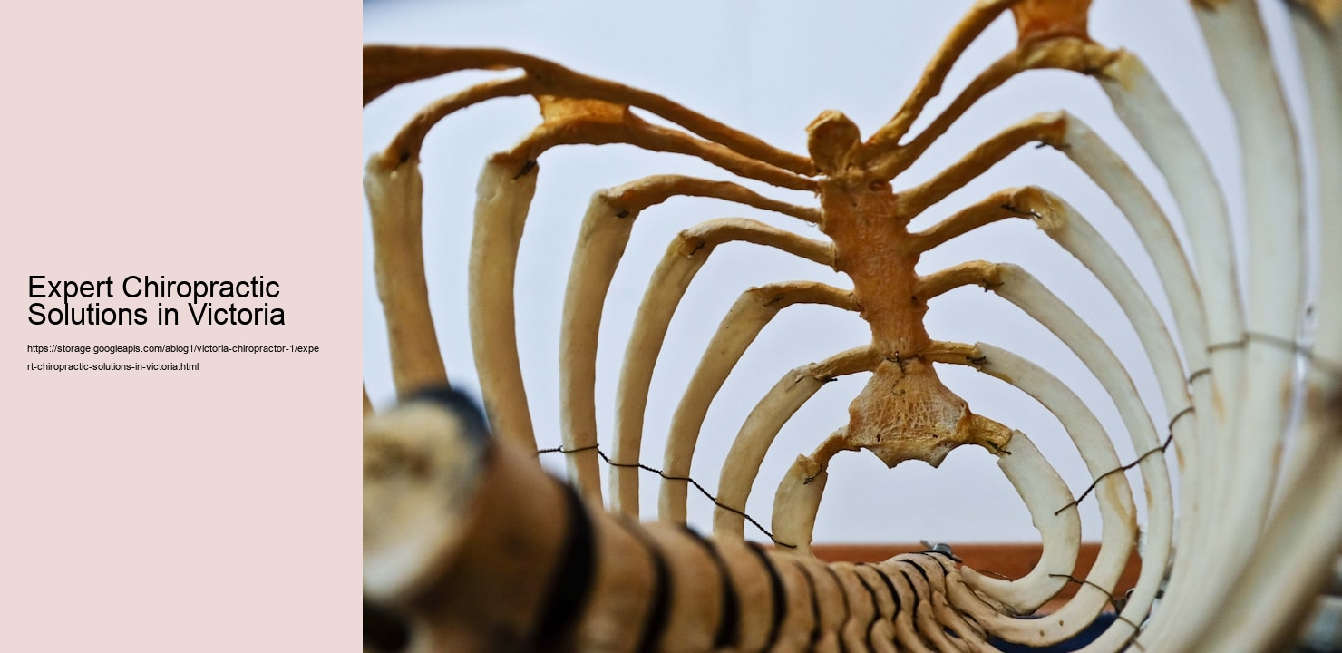 Expert Chiropractic Solutions in Victoria  