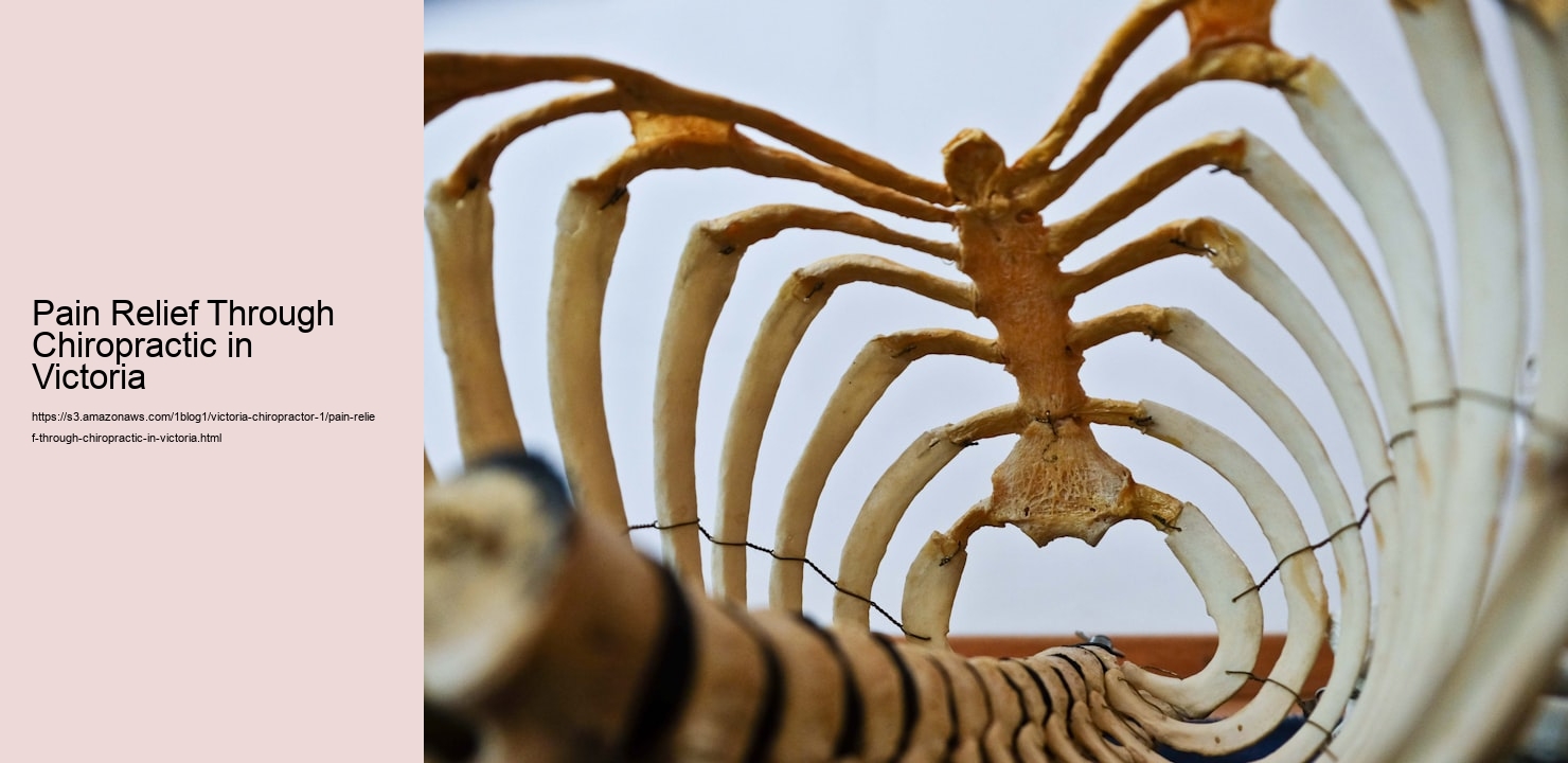 Pain Relief Through Chiropractic in Victoria  