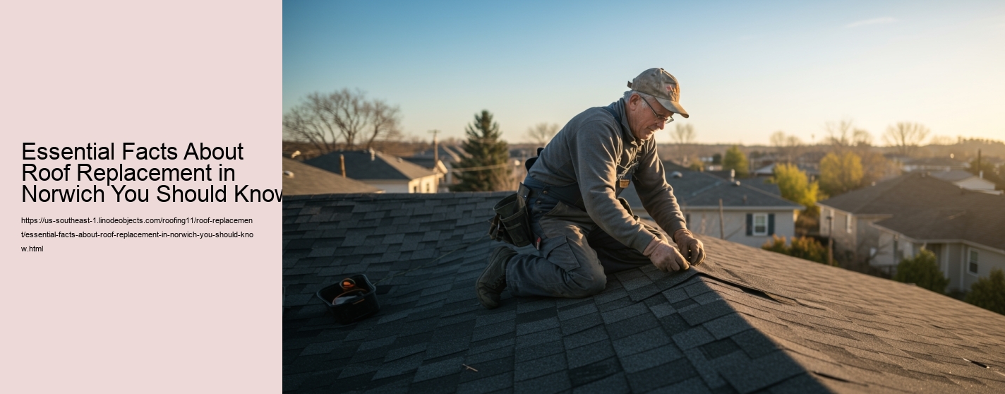 Essential Facts About Roof Replacement in Norwich You Should Know