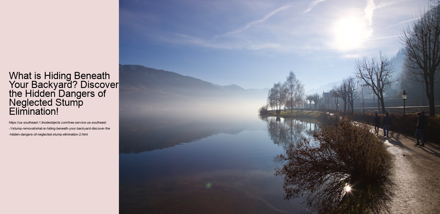 What is Hiding Beneath Your Backyard? Discover the Hidden Dangers of Neglected Stump Elimination!