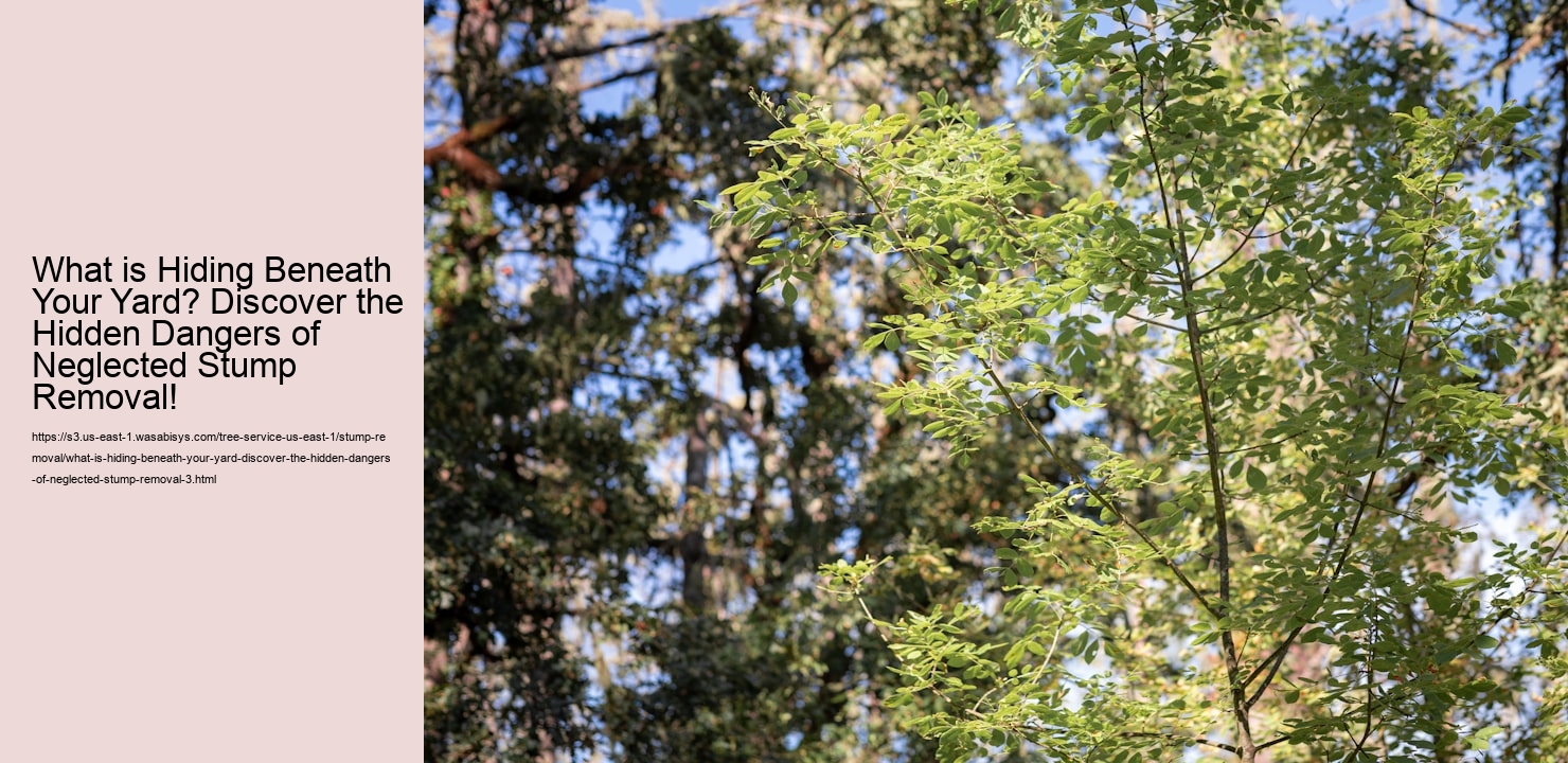 What is Hiding Beneath Your Yard? Discover the Hidden Dangers of Neglected Stump Removal!