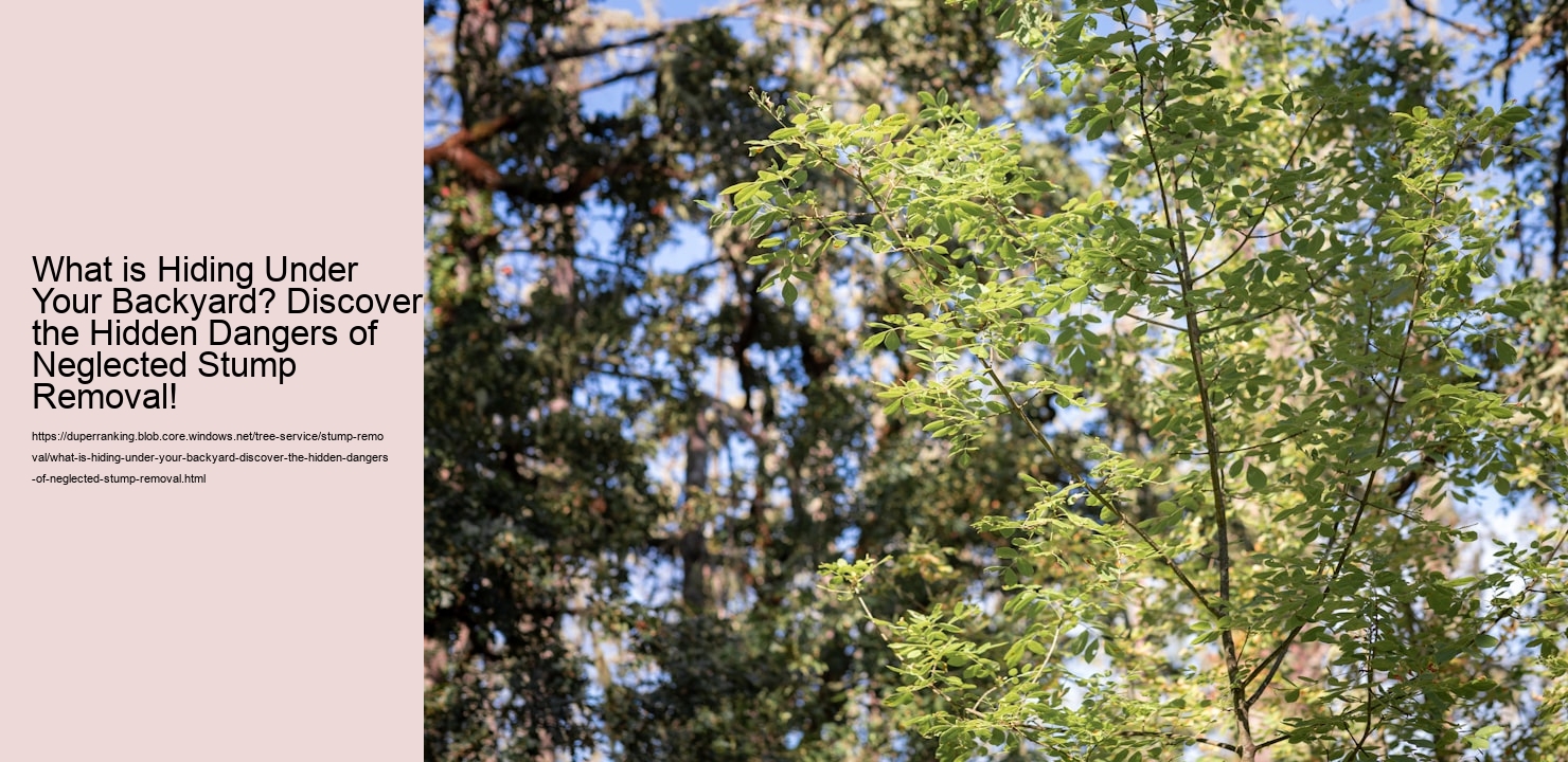 What is Hiding Under Your Backyard? Discover the Hidden Dangers of Neglected Stump Removal!