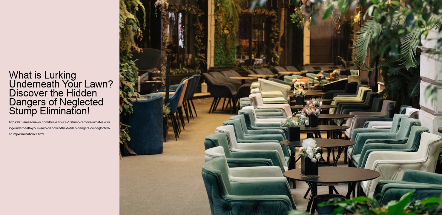 What is Lurking Underneath Your Lawn? Discover the Hidden Dangers of Neglected Stump Elimination!