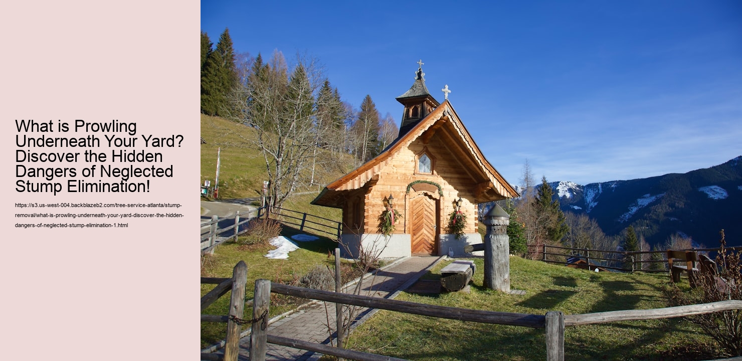 What is Prowling Underneath Your Yard? Discover the Hidden Dangers of Neglected Stump Elimination!