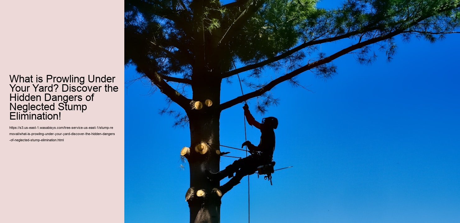 What is Prowling Under Your Yard? Discover the Hidden Dangers of Neglected Stump Elimination!